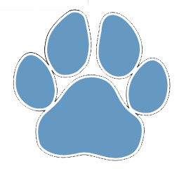 School Spirit Die Cuts