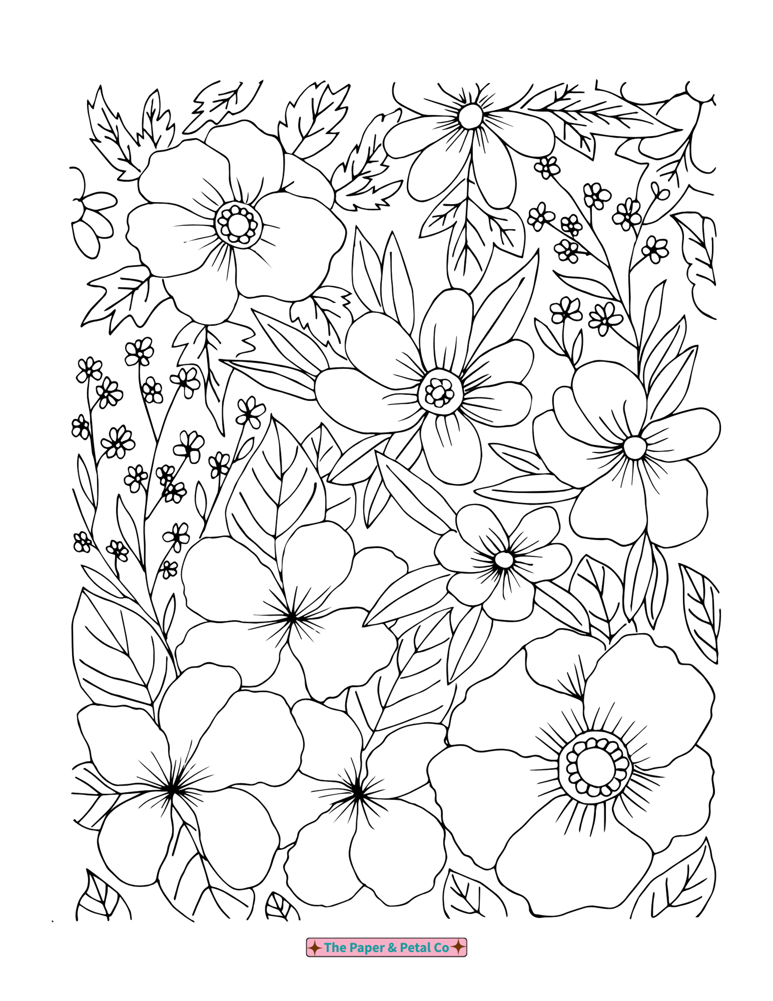 Pansy Coloring Sheet