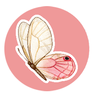 Butterfly Kid Car Coaster