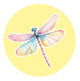 Dragonfly Kids Car Coaster