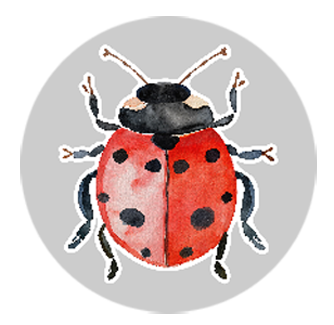 Ladybug Kids Car Coaster
