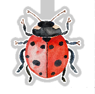 Ladybug Magnetic Bookmark