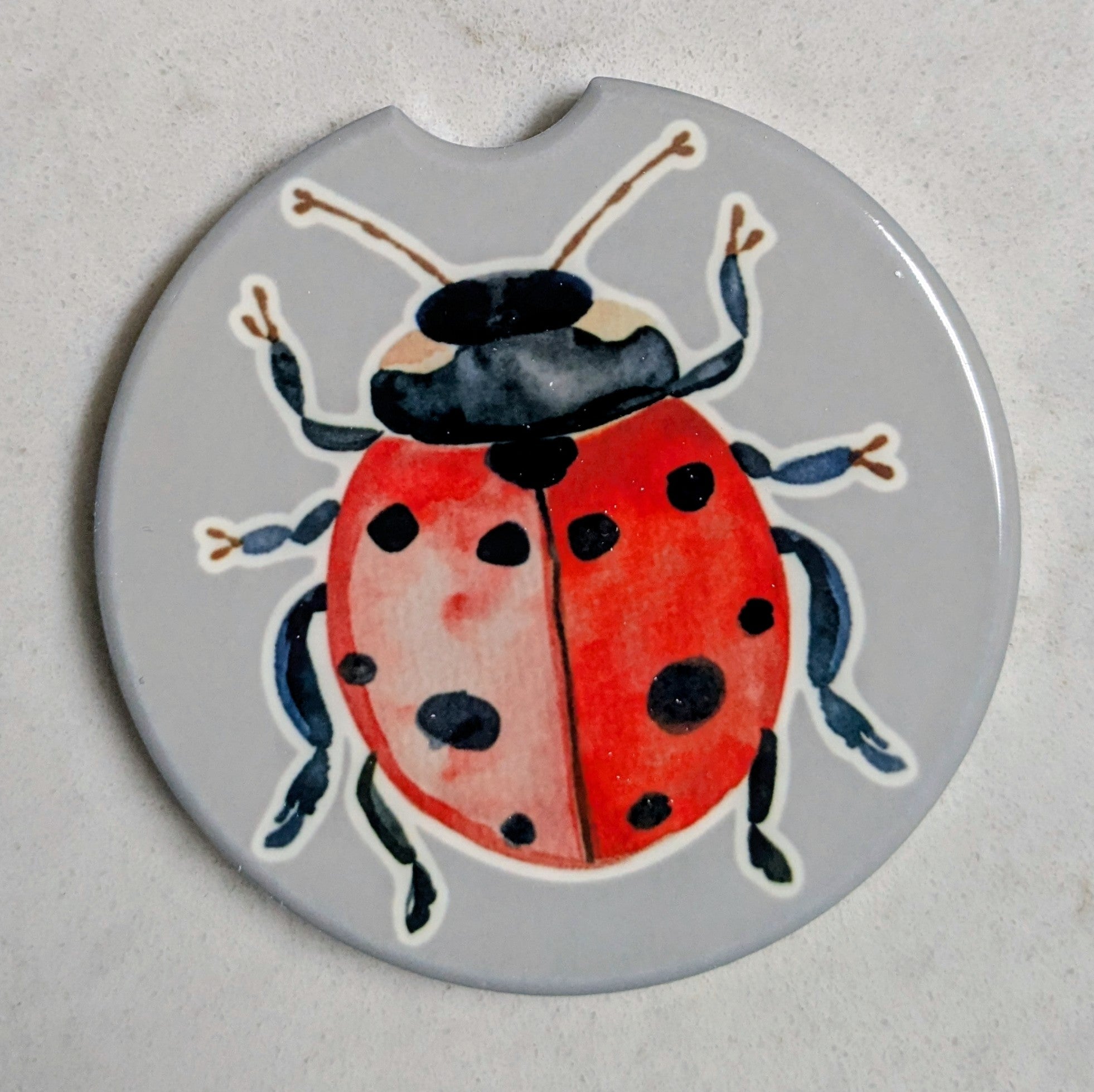 Ladybug Kids Car Coaster