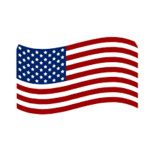Waving Flag Car Coaster